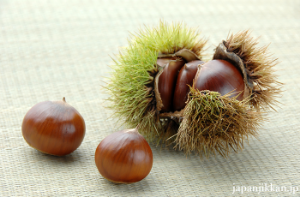 茨城県のおいしいもの