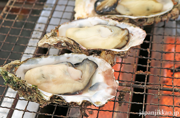 佐賀県のおいしいもの